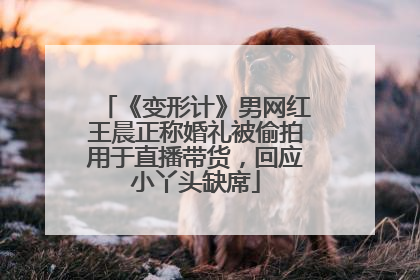 《变形计》男网红王晨正称婚礼被偷拍用于直播带货，回应小丫头缺席