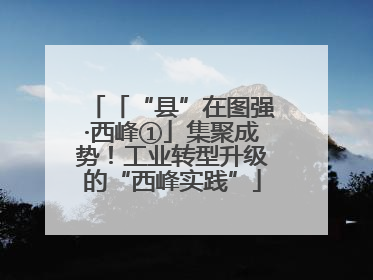 「“县”在图强·西峰①」集聚成势！工业转型升级的“西峰实践”