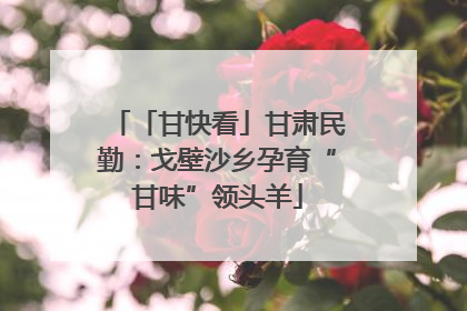 「甘快看」甘肃民勤：戈壁沙乡孕育“甘味”领头羊