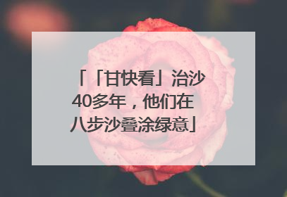「甘快看」治沙40多年，他们在八步沙叠涂绿意