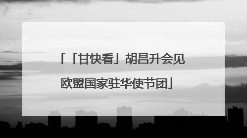 「甘快看」胡昌升会见欧盟国家驻华使节团