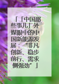 「中国那些事儿」外媒眼中的中国新能源发展：“非凡创新、稳步前行、需求侧强劲”