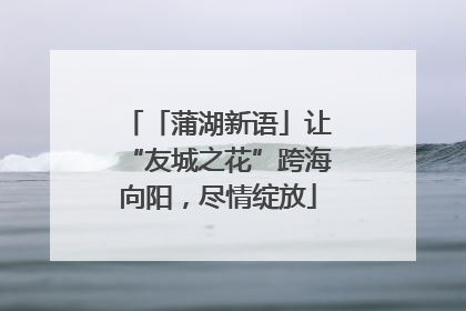 「蒲湖新语」让“友城之花”跨海向阳，尽情绽放