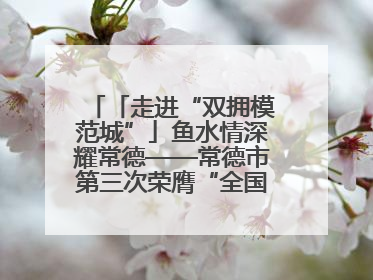 「走进“双拥模范城”」鱼水情深耀常德——常德市第三次荣膺“全国双拥模范城”