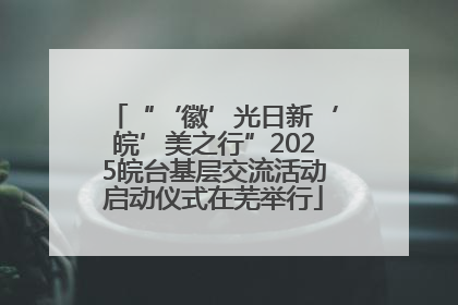“‘徽’光日新‘皖’美之行”2025皖台基层交流活动启动仪式在芜举行