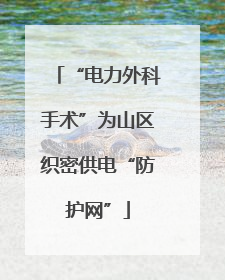 “电力外科手术”为山区织密供电“防护网”