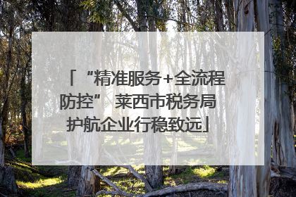 “精准服务+全流程防控” 莱西市税务局护航企业行稳致远