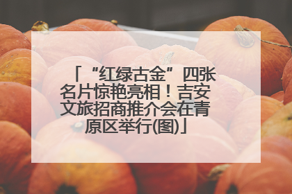 “红绿古金”四张名片惊艳亮相！吉安文旅招商推介会在青原区举行(图)