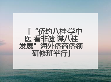 “侨约八桂·学中医 看非遗 谋八桂发展”海外侨商侨领研修班举行