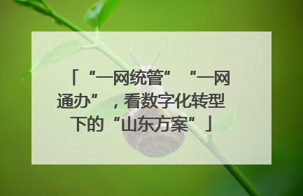 “一网统管”“一网通办”，看数字化转型下的“山东方案”