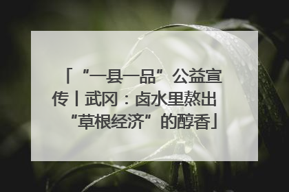 “一县一品”公益宣传丨武冈：卤水里熬出“草根经济”的醇香