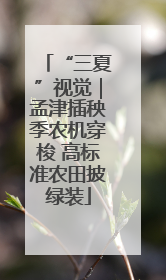 “三夏”视觉｜孟津插秧季农机穿梭 高标准农田披绿装