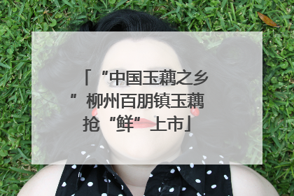“中国玉藕之乡”柳州百朋镇玉藕抢“鲜”上市