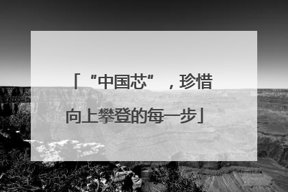 “中国芯”，珍惜向上攀登的每一步