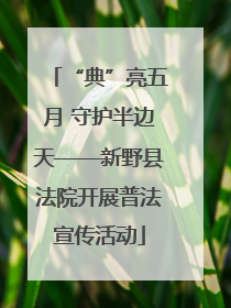 “典”亮五月 守护半边天——新野县法院开展普法宣传活动