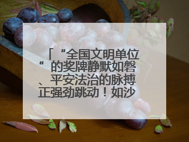 “全国文明单位”的奖牌静默如磐、平安法治的脉搏正强劲跳动！如沙漏翻转，他们开启了全新的计时