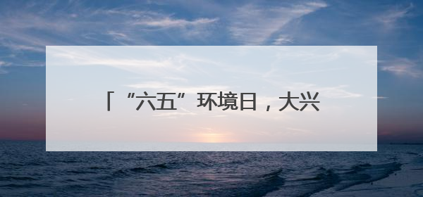 “六五”环境日，大兴廊坊携手共赴生态之约