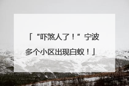 “吓煞人了！”宁波多个小区出现白蚁！