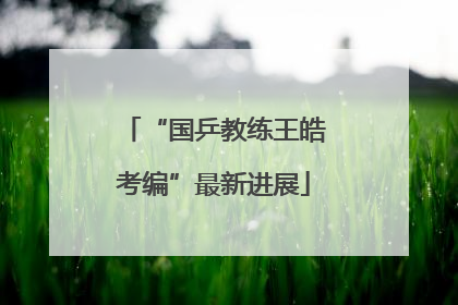 “国乒教练王皓考编”最新进展
