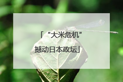 “大米危机”撼动日本政坛