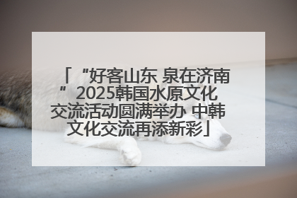 “好客山东 泉在济南”2025韩国水原文化交流活动圆满举办 中韩文化交流再添新彩