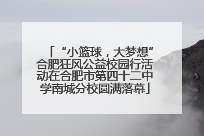 “小篮球，大梦想”合肥狂风公益校园行活动在合肥市第四十二中学南城分校圆满落幕