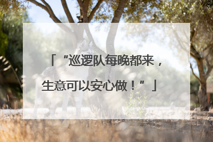 “巡逻队每晚都来，生意可以安心做！”