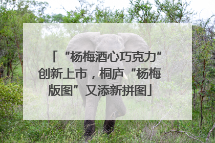 “杨梅酒心巧克力”创新上市，桐庐“杨梅版图”又添新拼图