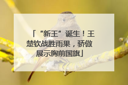 “新王”诞生！王楚钦战胜雨果，骄傲展示胸前国旗