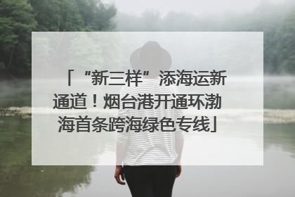 “新三样”添海运新通道！烟台港开通环渤海首条跨海绿色专线