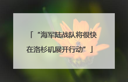 “海军陆战队将很快在洛杉矶展开行动”