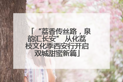 “荔香传丝路，泉韵汇长安” 从化荔枝文化季西安行开启双城甜蜜新篇