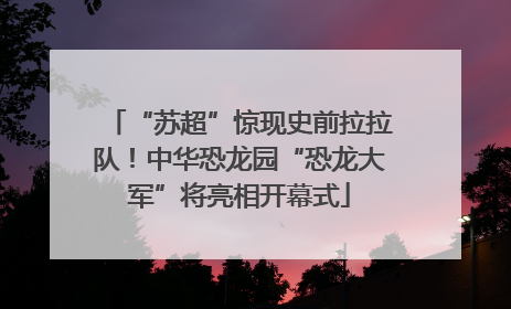 “苏超”惊现史前拉拉队！中华恐龙园“恐龙大军”将亮相开幕式