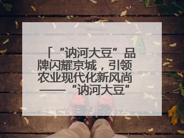 “讷河大豆”品牌闪耀京城，引领农业现代化新风尚——“讷河大豆”品牌新发地推介会圆满落幕