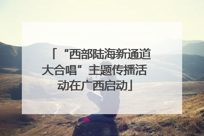 “西部陆海新通道大合唱”主题传播活动在广西启动