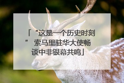 “这是一个历史时刻” 索马里驻华大使畅谈中非银幕共鸣