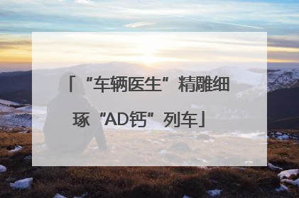 “车辆医生”精雕细琢“AD钙”列车