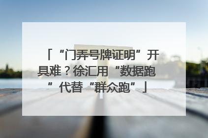 “门弄号牌证明”开具难？徐汇用“数据跑”代替“群众跑”