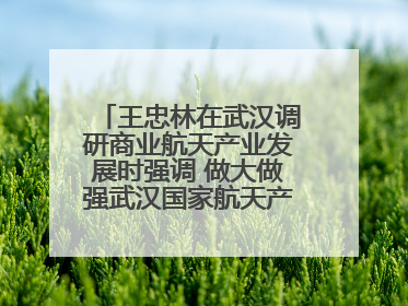 王忠林在武汉调研商业航天产业发展时强调 做大做强武汉国家航天产业基地 打造具有全国影响力的“中国星谷”