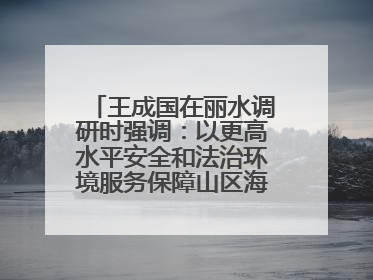 王成国在丽水调研时强调：以更高水平安全和法治环境服务保障山区海岛县高质量发展