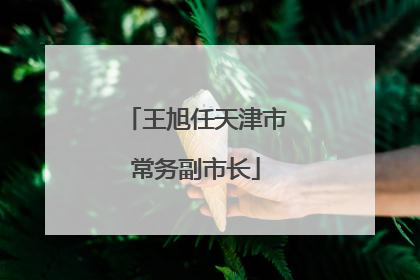 王旭任天津市常务副市长