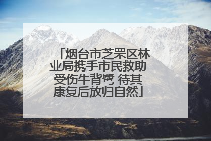 烟台市芝罘区林业局携手市民救助受伤牛背鹭 待其康复后放归自然
