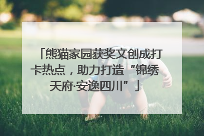 熊猫家园获奖文创成打卡热点，助力打造“锦绣天府·安逸四川”