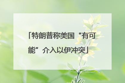 特朗普称美国“有可能”介入以伊冲突