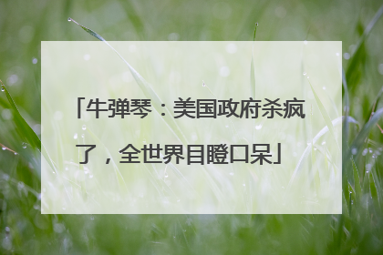 牛弹琴：美国政府杀疯了，全世界目瞪口呆