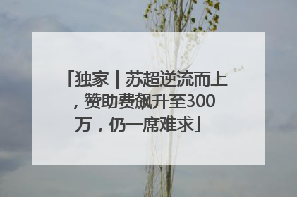 独家｜苏超逆流而上，赞助费飙升至300万，仍一席难求
