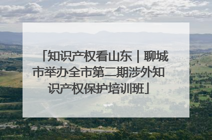 知识产权看山东｜聊城市举办全市第二期涉外知识产权保护培训班
