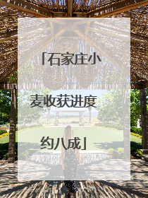 石家庄小麦收获进度约八成