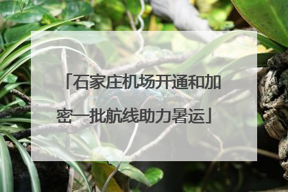 石家庄机场开通和加密一批航线助力暑运