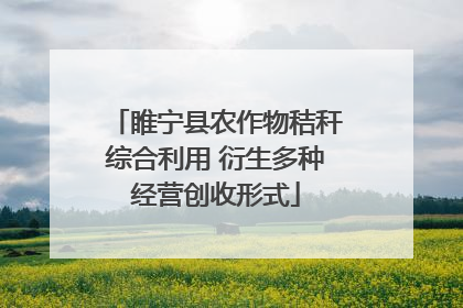 睢宁县农作物秸秆综合利用 衍生多种经营创收形式